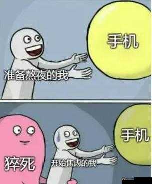 凌晨三点半看高清 502 集电视剧：夜猫子的追剧时光