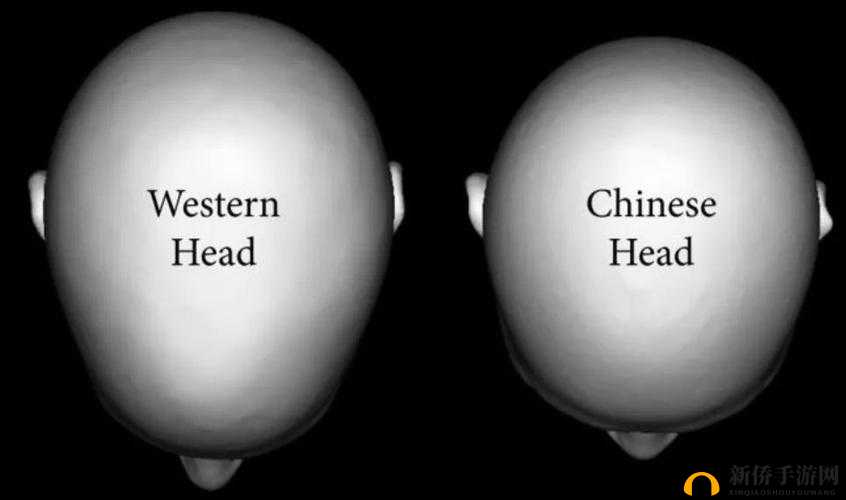 欧洲人和东亚人性格区别：文化根源与表现