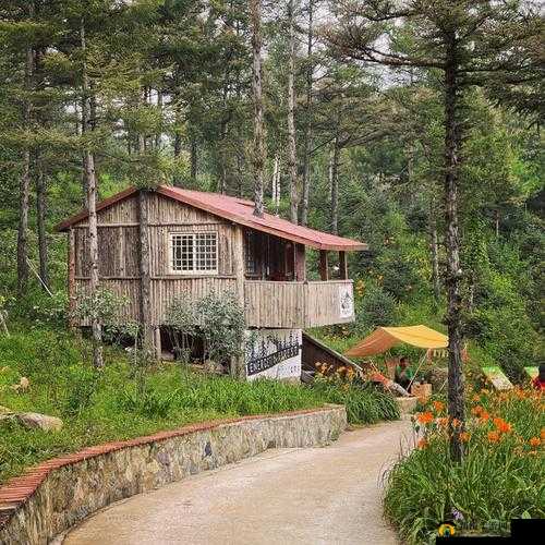 大基基和本尼在森林中建立了营地