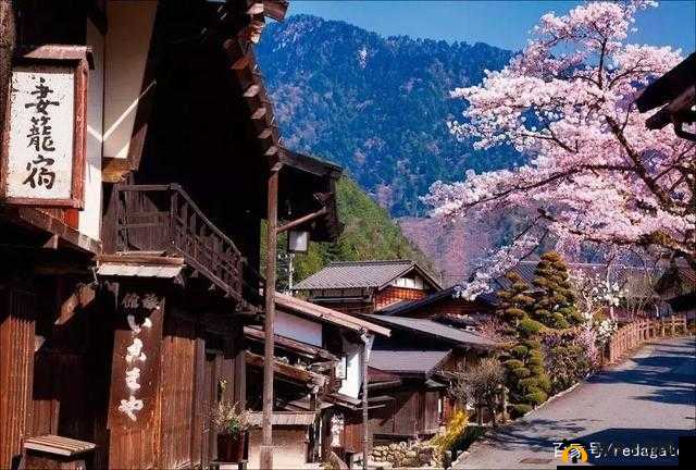 日本乡下有许多亲近相尾换伴：宁静中的独特景象