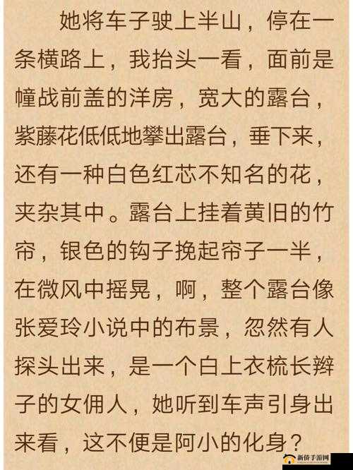 我们不合适小说菠萝：爱与分离的故事