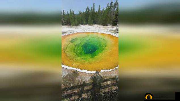 水火交汇冲突：揭秘水火不容背后的深层奥秘