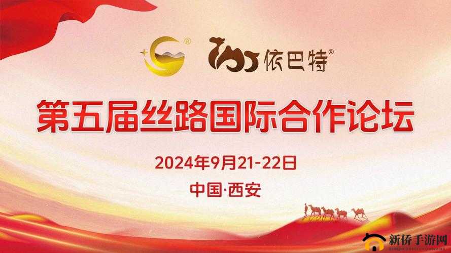 欧亚专线欧洲 s 码 wmy 卓越拓展：开启新征程