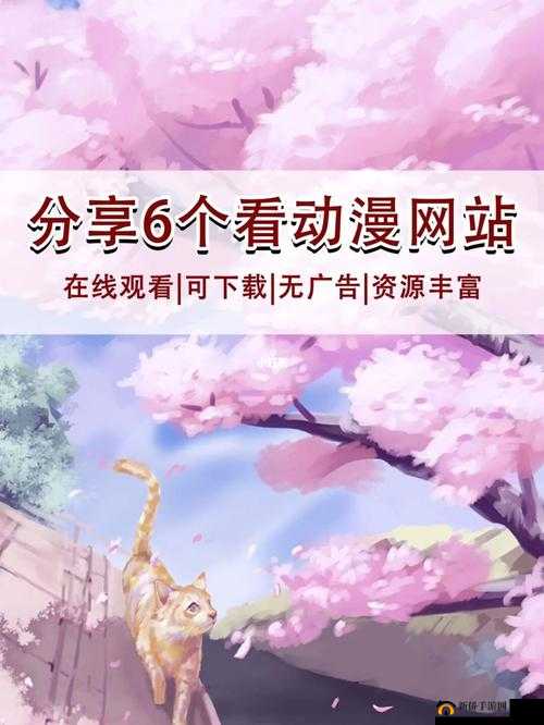 樱花动漫官网官方入口在哪里找：探寻途径