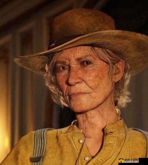 老年阿姨荒野大镖客背后故事：鲜为人知的传奇