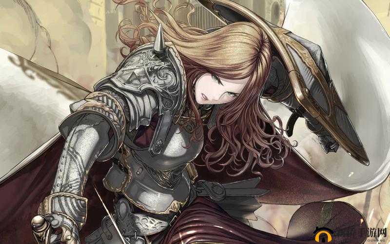 骑士精神2高地剑对长矛攻略：实战技巧与策略分享