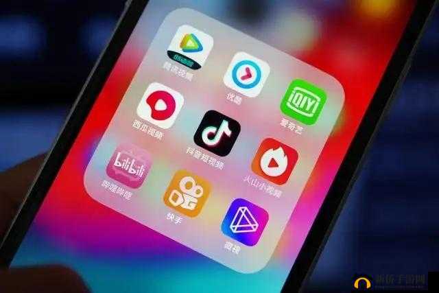 成品短视频 APP：带你发现精彩世界