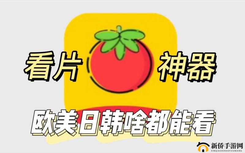 美国高清 windows 视频软件：尽享视觉盛宴