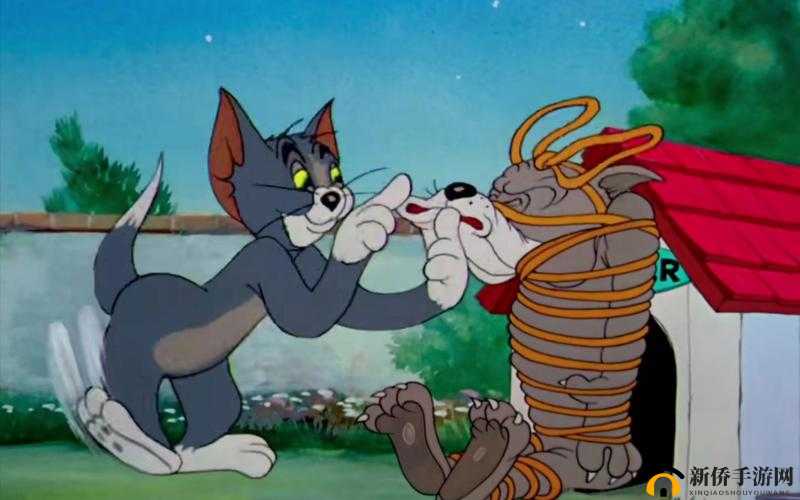 猫和老鼠（极速版）安装及配置说明