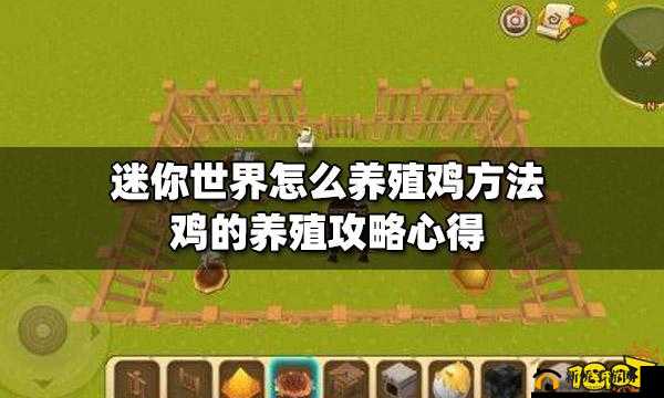 迷你世界养鸡全攻略：打造高效养鸡场