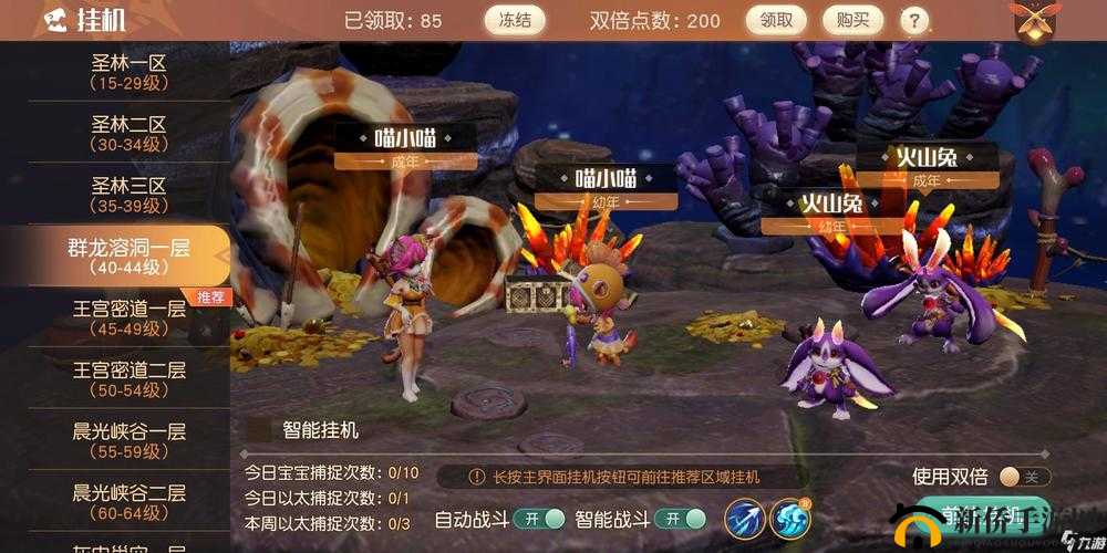 梦想新大陆自动对战攻略：轻松挂机战斗秘籍