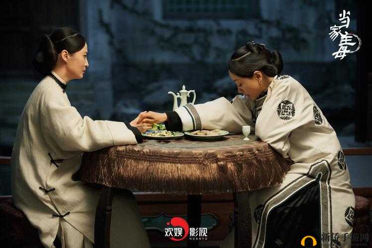 当家主母 Hgl：精彩剧情引人入胜