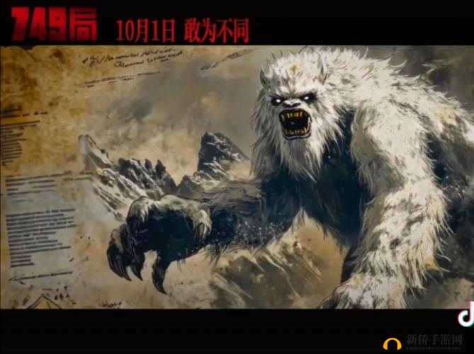 W 无区码一码二码三码：一场未知的冒险