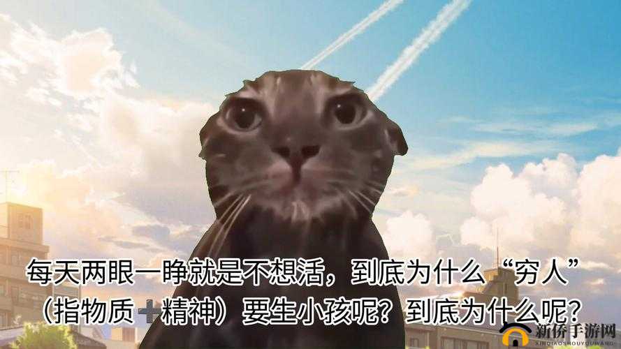 狗狗人生模拟器：安装指南与配置要求详解
