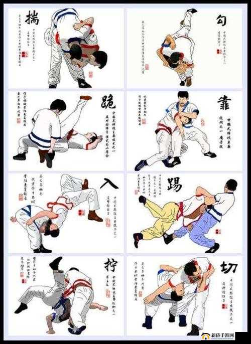 插秧七十二招式：高效种植的秘密