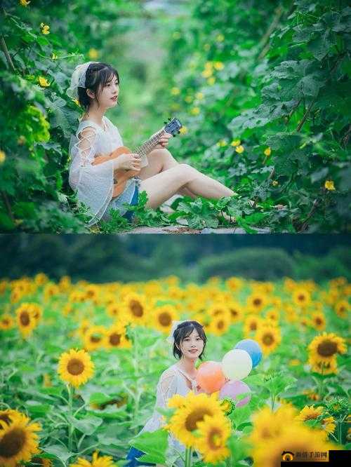 丝瓜草莓向日葵卐卍的奇妙组合