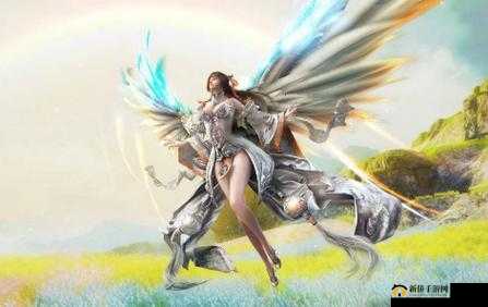 天谕手游白泽天赋激活秘籍：全面解析英灵能力提升与作用