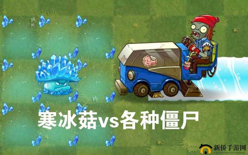 关于《植物大战僵尸》中寒冰菇作用的全面解析与效用详解
