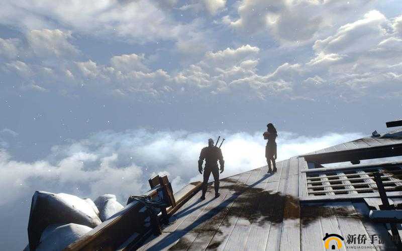 巫师3：最后的愿望任务攻略，揭秘达成完美结局的每一步