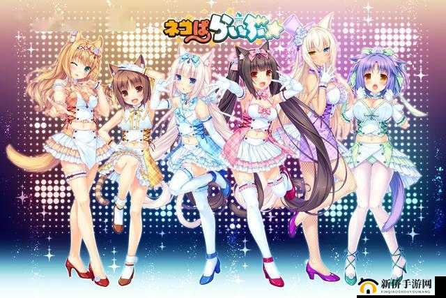 猫娘拔萝卜的图片视频：可爱瞬间