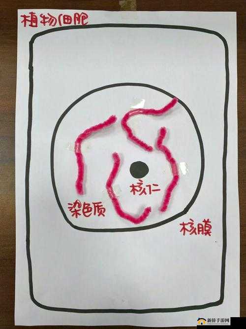 我成了生物课的教具篇 1：被解剖的命运