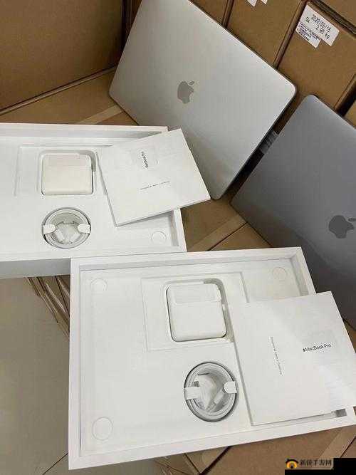 13 岁少年用 MacBook 高清看世界