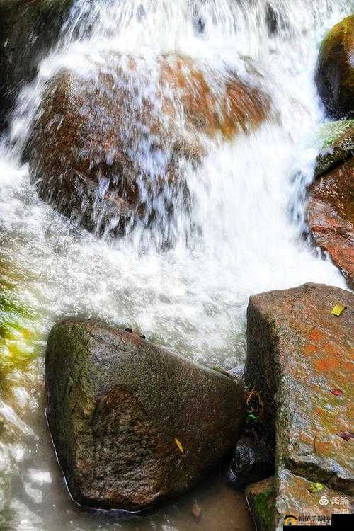 黄龙直捣，溪水潺潺：探秘自然奇观
