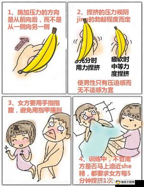 自 W 方法教程图片：让你快速了解的图示