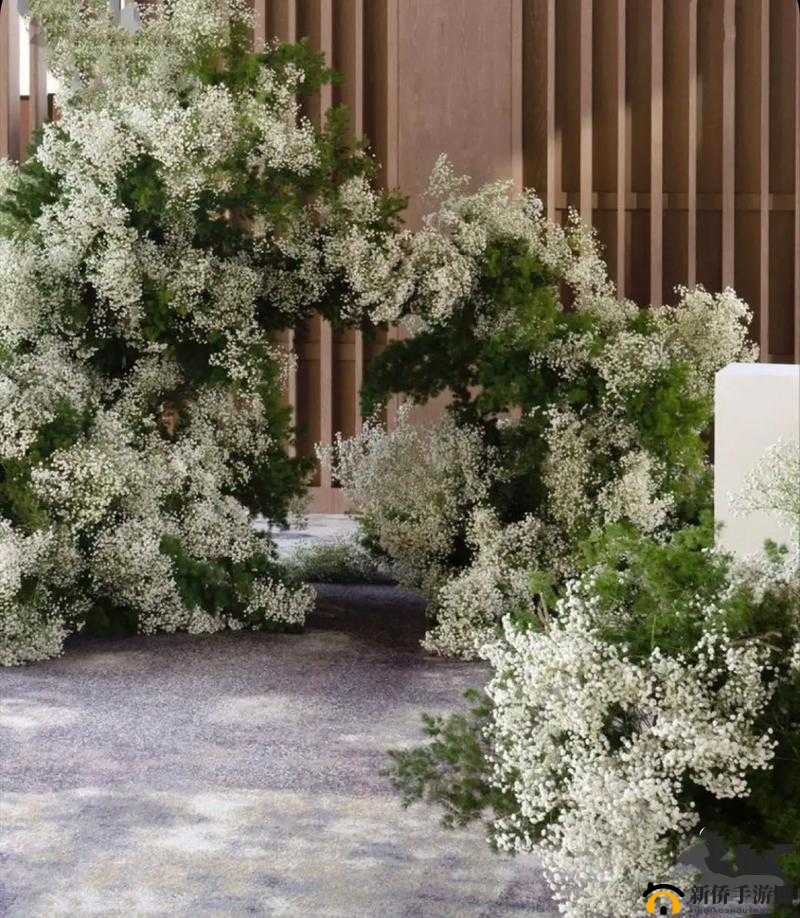 俄罗斯学院满天星三部曲：经典之作震撼呈现