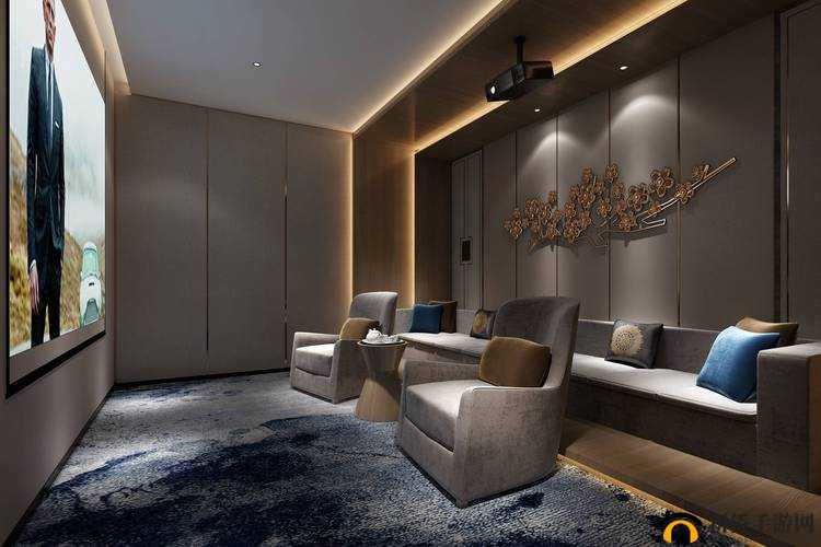 顶级私人家庭影院：极致视听享受空间