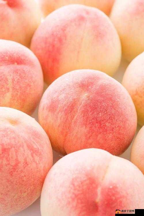 欧产日产国色天香水蜜桃：一口爆汁的甜蜜享受