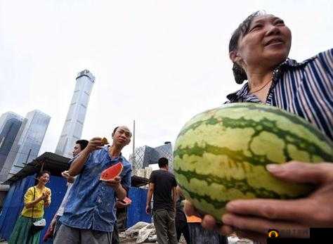 51 朝阳群众爆料吃瓜网：揭秘娱乐圈大瓜