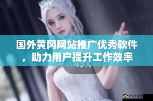国外黄冈网站推广软件：提升网站影响力的利器