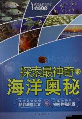 大侠请听题：揭秘截图预览背后的故事，探寻知识海洋的奥秘之旅