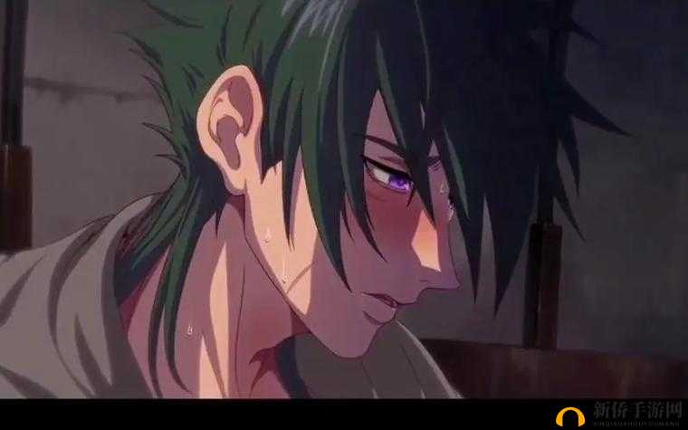 Nasa 哥布林洞窟动画第一季：奇幻之旅开启