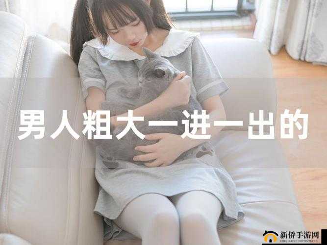 内捧进出爽大牛汉子