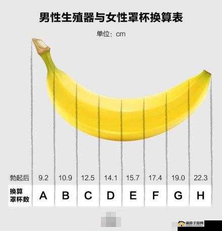 多少厘米可以让女孩子哭：答案在这里