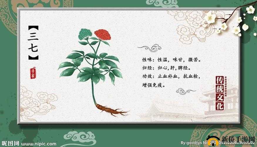 三七大但人文艺术免费：相关介绍