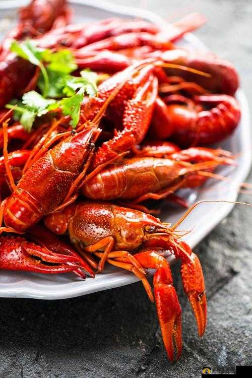 印度人性能力是否强之探讨