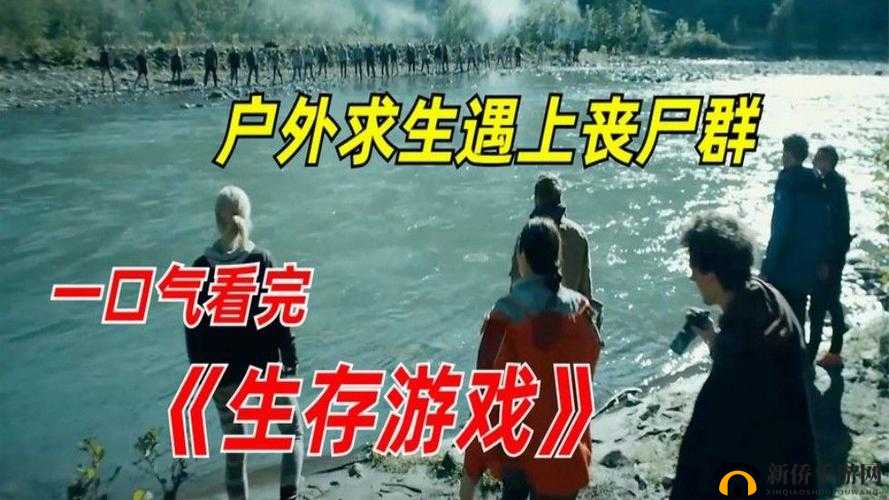 建议：末世重启之旅：揭开惊奇又充满挑战的生存游戏面纱