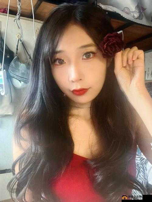 tai9 改成什么了：相关问题探讨