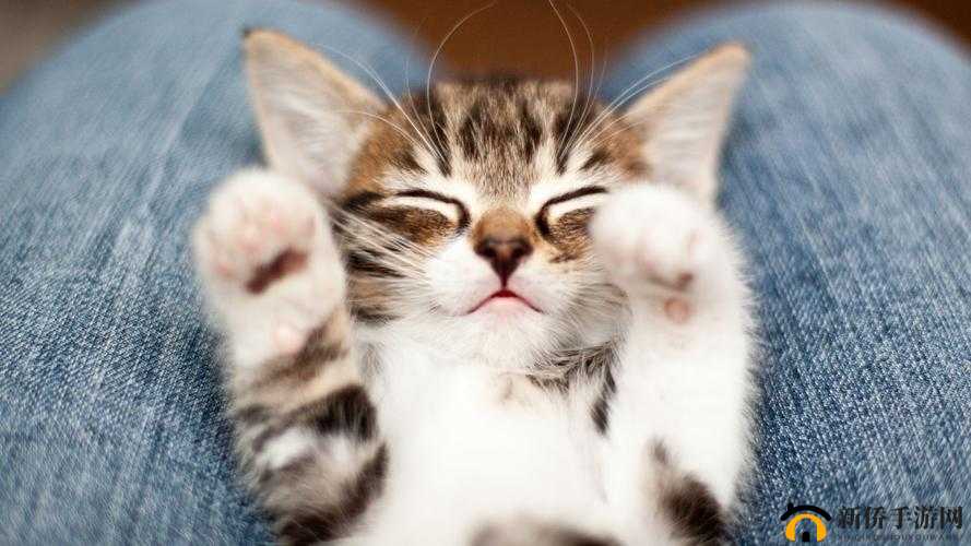 佳柔和医院长第 7：揭秘医疗界的秘密