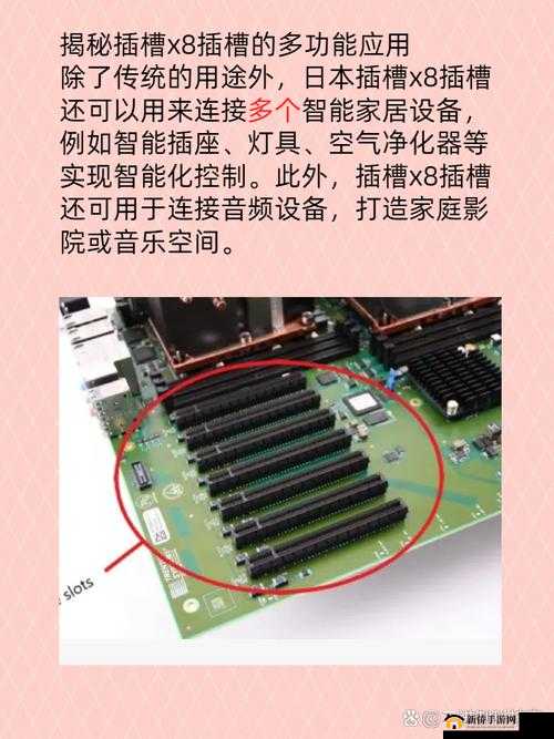 国内 x8 插槽还能用吗：未来使用前景分析