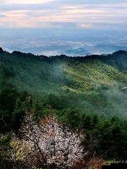 无需下载国外黄冈网站推广：尽享优质资源