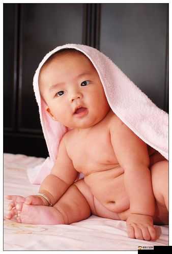 八寸长的大宝贝究竟有何特别之处