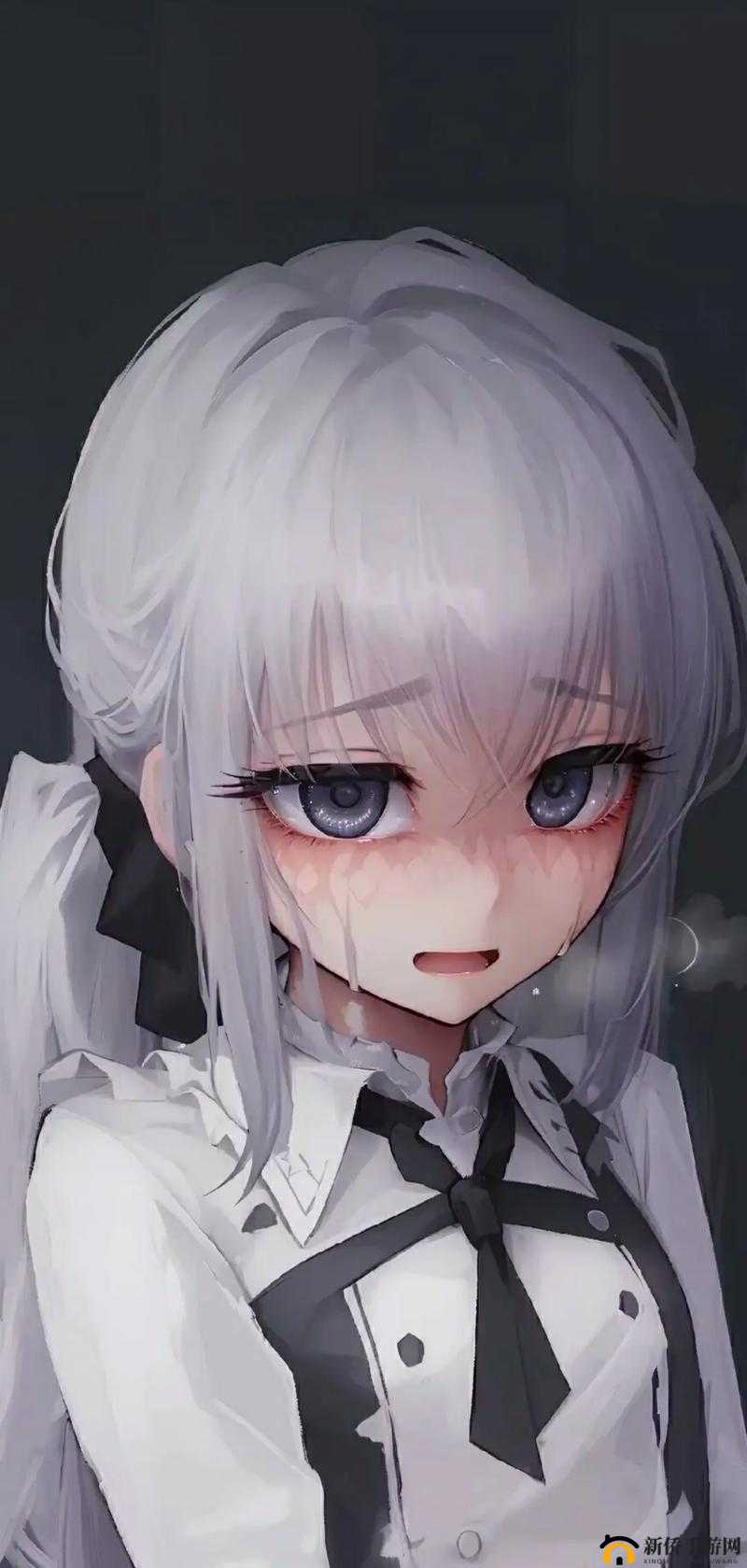 希露薇繁殖计划 8.03 详细答案解析