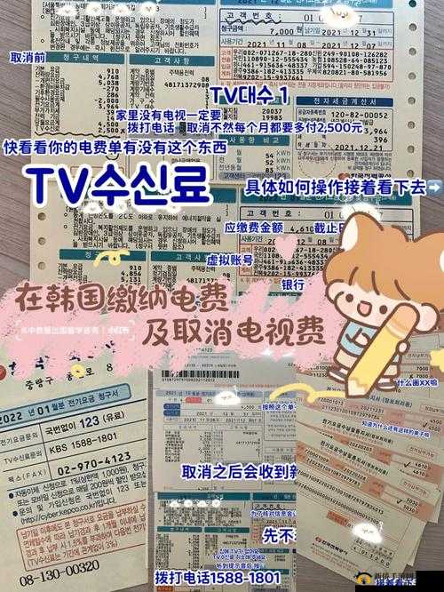 韩国三色电费 202：解析其背后意义