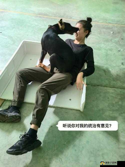 如何玩：人狗大战的实现方法