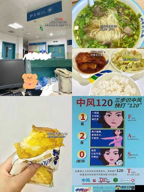 肉食教师食取报告 2：深度解析与思考