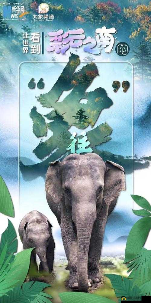 满 18 点此安全转入 2022 大象新玩法